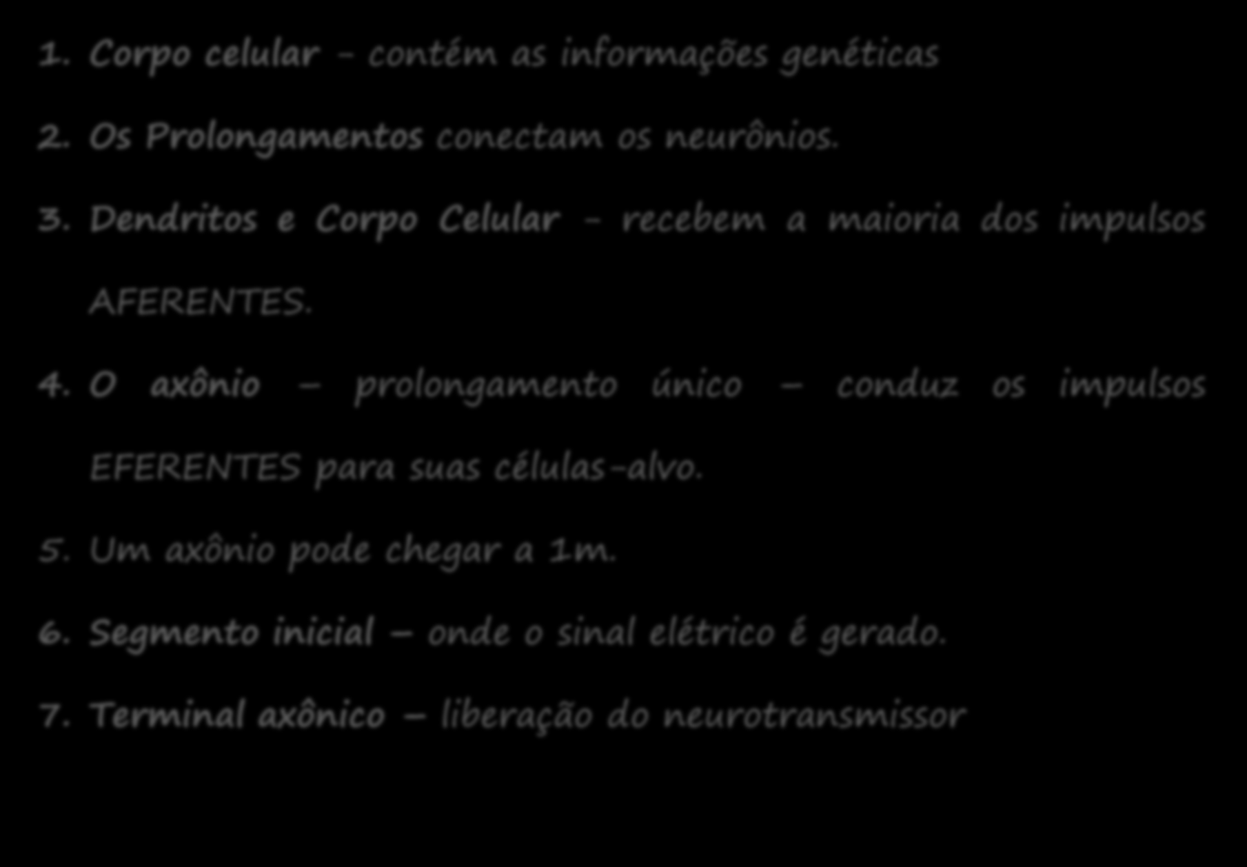 NEURÔNIOS 1. Corpo celular - contém as informações genéticas 2. Os Prolongamentos conectam os neurônios. 3. Dendritos e Corpo Celular - recebem a maioria dos impulsos AFERENTES. 4.