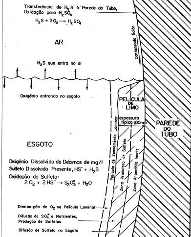 PROCESSOS QUE OCORREM EM CONDUTOS DE