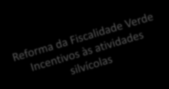 em IRS No âmbito da aplicação da contabilidade organizada, para efeitos de determinação da taxa de IRS a aplicar a rendimentos da categoria B decorrentes de explorações silvícolas plurianuais, o