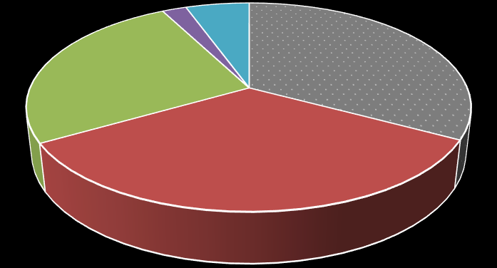 Recursos, reservas e produção Petróleo 3,6% Gás natural 5,6% Recursos brutos Linhito 9,3% Urânio 1,2% Tório 0,5% Gás natural 18,7% Reservas exploráveis Linhito 8,3% Urânio 2,7% Carvão