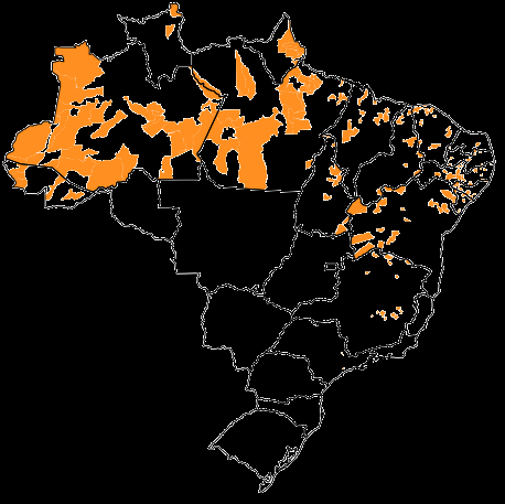 Primeira alocação de médicos 519 municípios que foram selecionados tiveram 1.