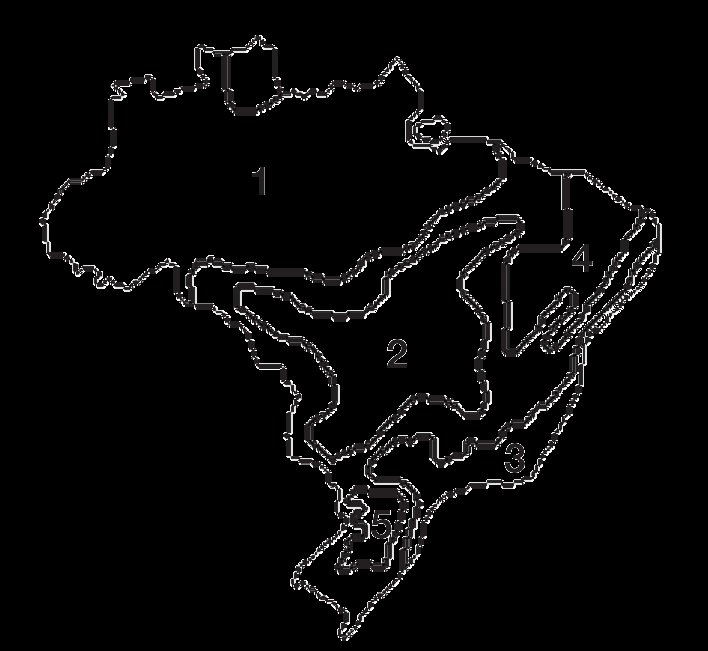EXERCÍCIOS ESSENCIAIS 10 (Cesgranrio-RJ) Vegetação original do Brasil: Assinale a opção que contém apenas as formações florestais indicadas