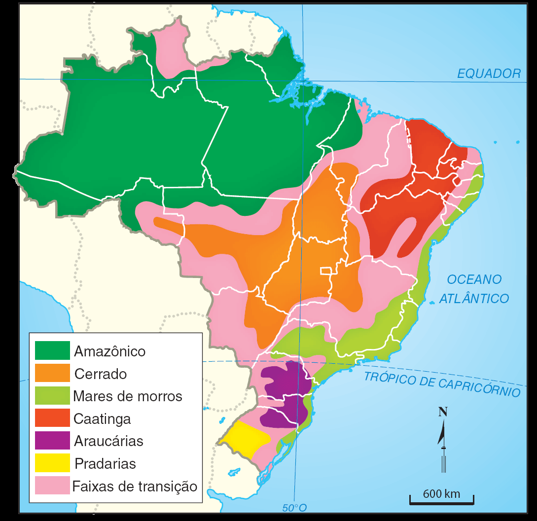 Domínios morfoclimáticos brasileiros