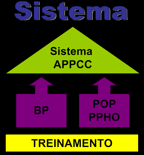 Ações e procedimentos sistêmicos que visam contribuir para viabilizar os programas de segurança alimentar; É