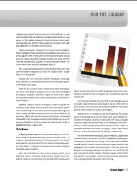 BUSINESS REPORT A sua revista ou seu catálogo na Internet utilizando um dos mais dinâmicos Portais de Gestão e de Metrologia.