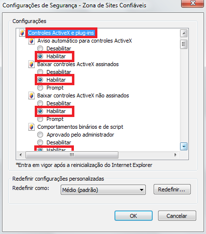 Executar controles ActiveX e plug-ins; Executar scripts de controles ActiveX marcados como seguros para execução de scripts*; Exibir vídeo e animação em uma página que não use um media player
