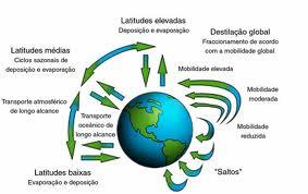 Impacto global? POLUENTES ORGÂNICOS PERSISTENTES Preocupação mundial devido a sua toxidez, contaminação ambiental e persistência, etc.( FU et al.