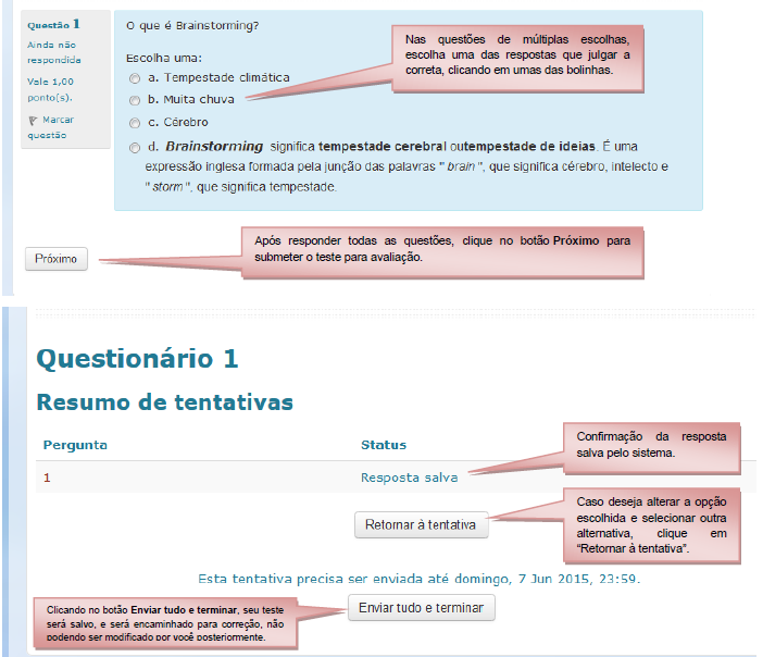 Na figura a seguir é apresentada a relação de questões a serem respondidas.