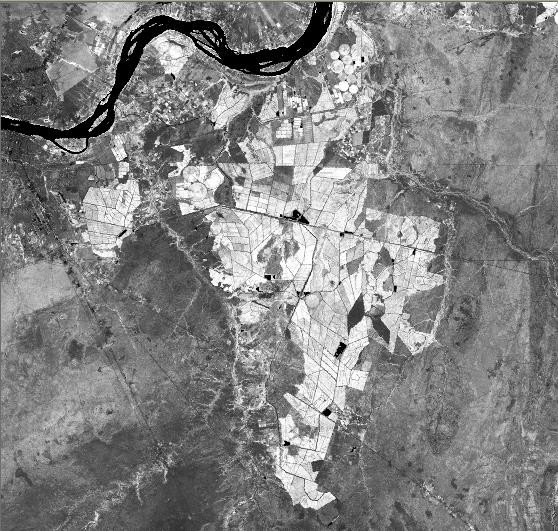 (a) (b) FIGURA 3. Imagem e mapa temático do Índice de Vegetação da Diferença Normalizada (NDVI) referente passagem do satélite em 22 de janeiro de 2007.