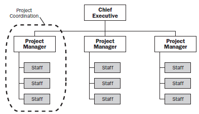Tipo de estruturas organizacionais Projetizada: A autoridade do gerente de projeto e a disponibilidade de recursos para projetos é alta ou total.