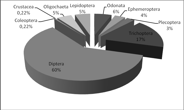 A Ordem Díptera representou 70% do total de organismos coletados no período seco (Gráfico 14).