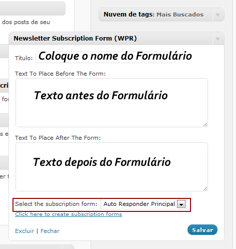 Após ter clicado na SETA conforme mostra a imagem anterior vai aparecer uma nova tela para você configurar o seu Formulário, é bem simples de configurar só alterar conforme explico abaixo: A parte