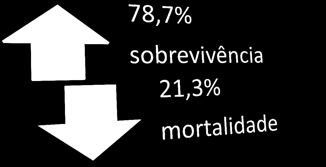 12/44 Mortalidade das MPE s Pesquisa de sobrevivência e mortalidade