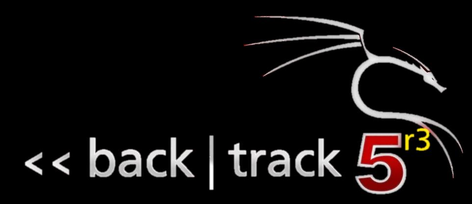 BackTrack BackTrack é destinado a todos os públicos de profissionais de