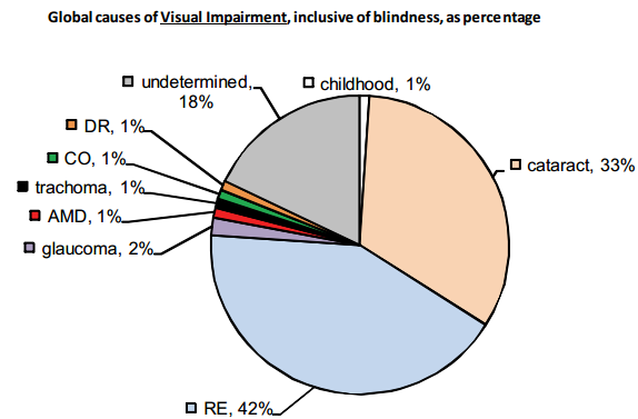 As causas mais importantes incluem os erros refrativos (42%) e as cataratas (33%).