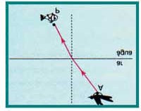 Admitindo-se que: 1) A seja uma andorinha que se encontra a 10m da superfície livre do líquido; 2) P seja um peixe que se encontra a uma profundidade h da superfície S; 3) n = 1,3 seja o índice de