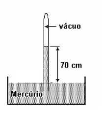 11. (Ufpr 2006) Na reprodução da experiência de Torricelli em um determinado dia, em Curitiba, o líquido manométrico utilizado foi o mercúrio, cuja densidade é 13,6 g/cm 3, tendo-se obtido uma coluna