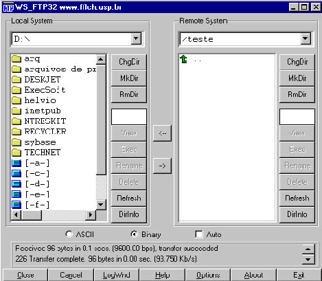 Como já comentamos a tela é essencialmente dividida em duas partes, a da esquerda refere-se à nossa maquina cliente (Local System) e a da direita ao servidor (Remote System).