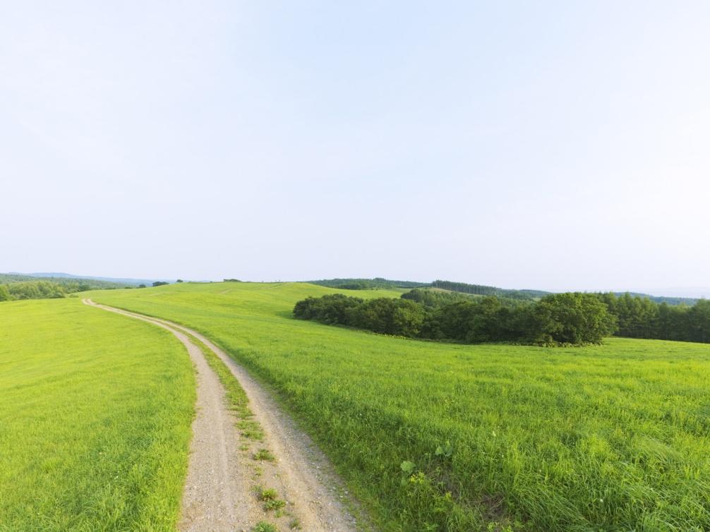 Um caminho: O que é Coaching?