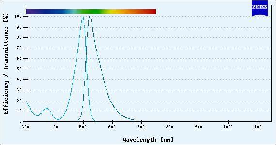 Princípios da PCR em Tempo Real Sistemas de Detecção Fluoróforos ou Fluorocromos Cada molécula apresenta um
