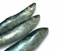 O peixe Rico em vitaminas do complexo B; Possui iodo, fósforo, sódio, potássio, ferro e cálcio sobretudo nas vísceras e espinhas; A sua gordura tem maior proporção de ácidos gordos