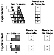 32. (Unesp 2005) Foram feitos experimentos em laboratório, variando artificialmente os períodos em horas, de exposição à luz e ao escuro, com o objetivo de observar em que condições de luminosidade