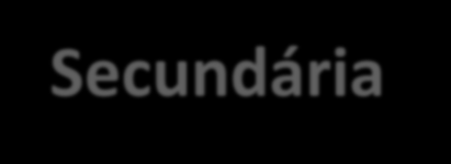 Secundária Necessária para o funcionamento do computador. Depende de energia.