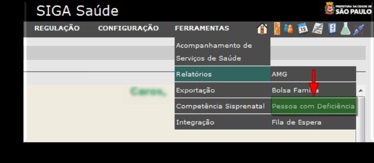 Relatórios Para solicitar os relatórios do IPD, acesse o menu FERRAMENTAS / Relatórios / Pessoa com Deficiência.