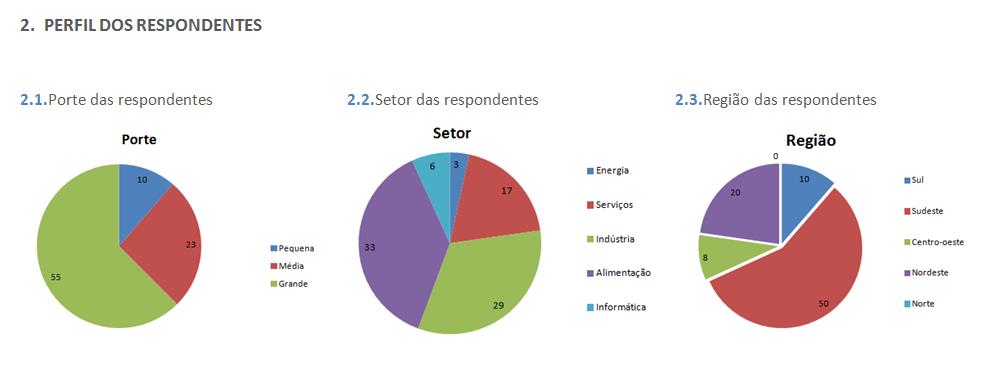 Sistema on-line Relatório de diagnóstico Relatório