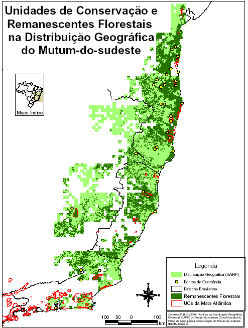 Vol. 3)  Mutum-do-Sudeste (Série Espécies