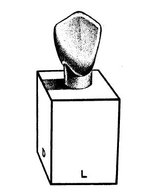 n) Face lingual: na porção incisal a média escavam-se duas depressões mesial a distal, bem rasas, deixando-se lateralmente, as saliências correspondentes às futuras bordas proximais (Figura 34).