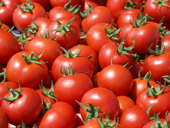 [03] PERSPECTIVAS DE INTERNACIONALIZAÇÃO Sectores Excepcionais > Indústrias de Tomate Portugal ocupa a 5ª posição no