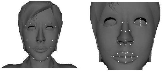 Capítulo 2. Fundamentos e Estado da Arte 9 2.4 Modelos de Deformação Facial Existem diversos modelos de deformação facial, que têm vindo a ser desenvolvidos ao longo dos anos.