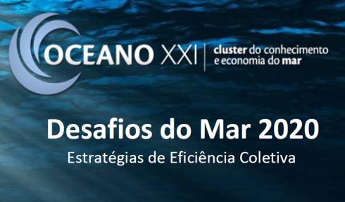 Missão: dinamizar o Cluster do Conhecimento e da Economia do Mar português com ações de apoio à cooperação entre os atores, ao desenvolvimento da inovação, à internacionalização das empresas, ao