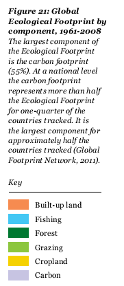 A Pegada Ecológica é formada por uma série de subíndices (GFN, 2010) que captam, cada um, uma dimensão distinta da relação homem e meio ambiente expressa na provisão de serviços ecossistêmicos, quais