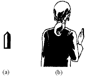 Capítulo 2 - Revisão dos sistemas de transcrição existentes Um grande diferencial de SignWriting, além da representação de expressões faciais, é a descrição da dinâmica dos movimentos.