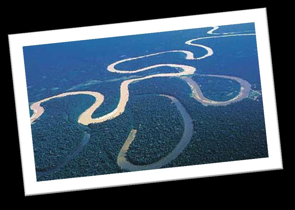 Rio Juruá - Acre Nasce no Peru, atravessando o Acre até desaguar no rio