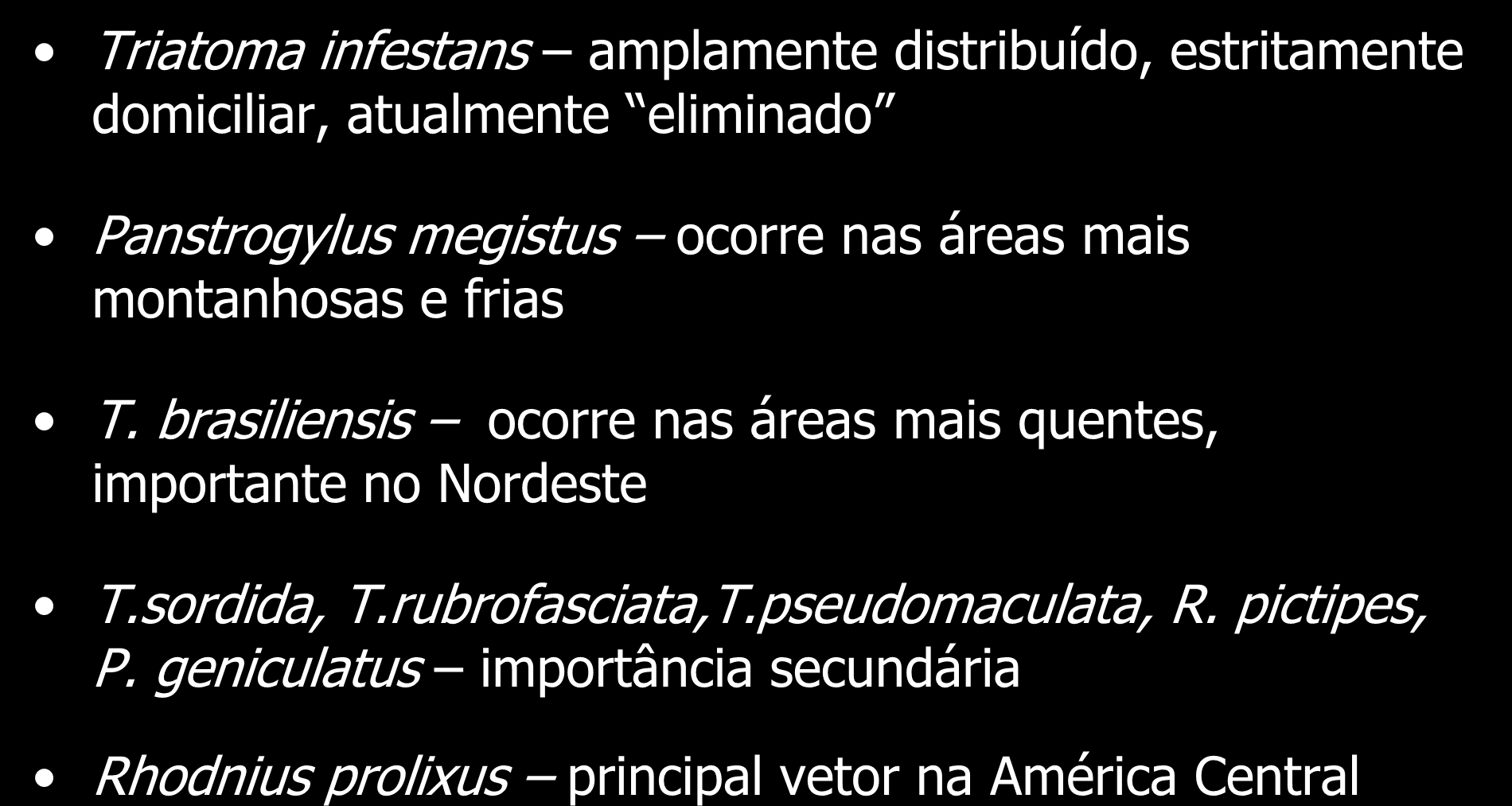 Vetores Triatoma infestans amplamente distribuído, estritamente domiciliar, atualmente eliminado Panstrogylus megistus ocorre nas áreas mais montanhosas e frias T.