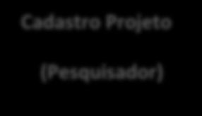 Orientações Básicas para Análise e Tramitação de Projetos de Pesquisa pela Plataforma Brasil pelos Comitês de Ética em Pesquisa Fluxo da Plataforma Brasil (Análise CEP) Cadastro Projeto (Pesquisador)