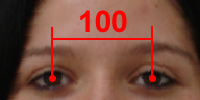 2.2 Escala A alteração de escala nas imagens de face é derivada da padronização na distância entre os pontos de identificação das pupilas, que visa corrigir desvios causados durante a captura e