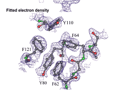 Métodos Experimentais: Microscopia Eletrônica Métodos Experimentais: Microscopia Eletrônica c Busca no PDB: resolução Resultado experimental: Mapa de densidade eletrônica o que você vê + o que você