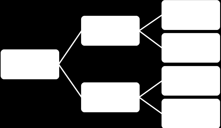 Revisora: A contabilidade e a informação que se obtém dela tem de expressar a verdade. A função revisora serve para atestar a regularidade destas informações.