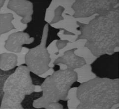 As imagens de microscopia de força atômica indicaram a formação de fase sigma no aço UNS S31803 a partir da ferrita e na interface -, como mostra a figura 3.