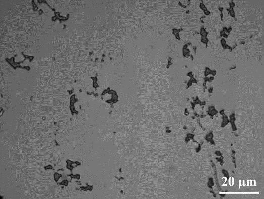 (c) Figura 2 Micrografia óptica da amostra de UNS S31803 para os tratamentos térmicos de 5, 15, (c) 30, (c) e (d) 60 minutos. Fase sigma: escura. Ataque eletrolítico: KOH.