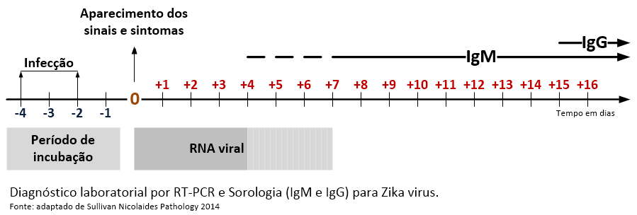 DIAGNÓSTICO LABORATORIAL O diagnóstico laboratorial de ZIKAV baseia-se principalmente na detecção de RNA viral a partir de espécimes clínicos. Não testes sorológicos comerciais.