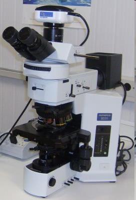 MICROSCOPIA