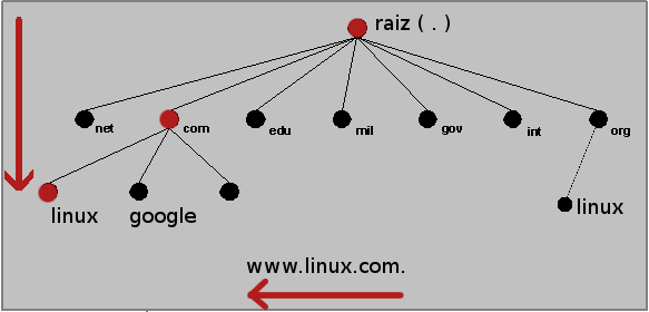 * DNS cache: Oi.com, você conhece www.linux.com.? *.com: Não sei.