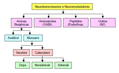Neurotransmissores: