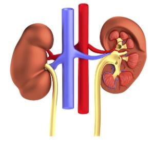 Na doença renal crônica.