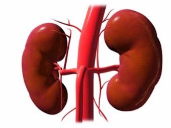 7. Calcitriol 0 Vitamina D ativa = CALCITRIOL Na doença renal crônica: 0 Apresenta-se normal nas fases